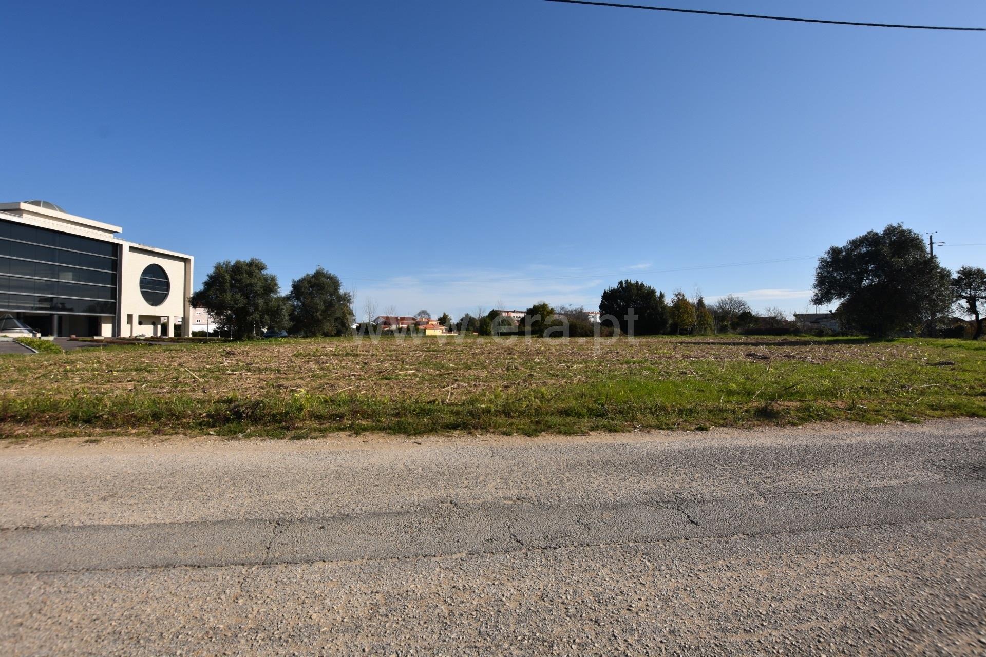 Land for sale in Oliveira do Bairro, Portugal — €95,000
