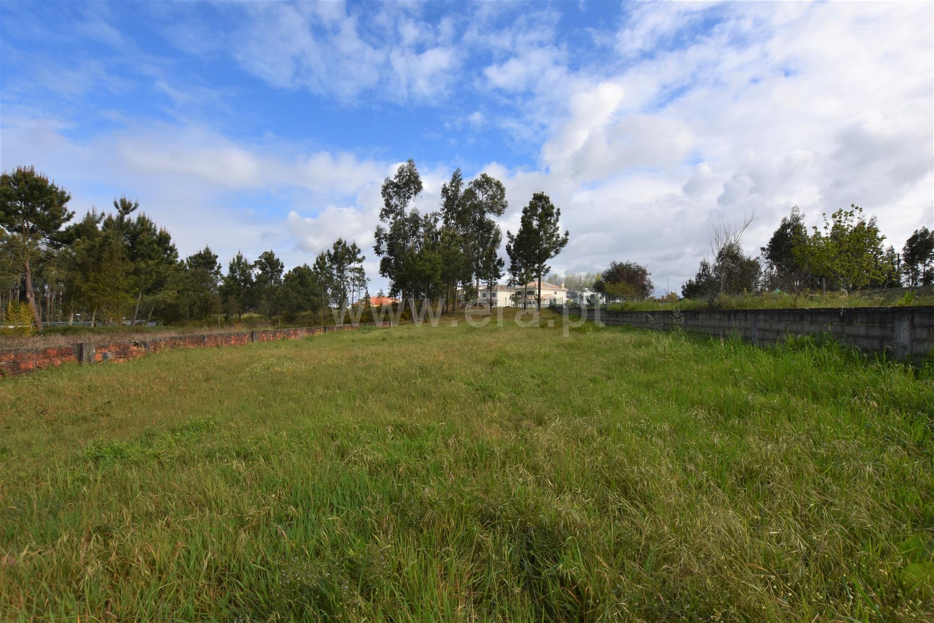 Land for sale in Oliveira do Bairro, Portugal — €58,000