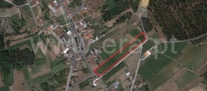 Terreno / Oliveira do Bairro, Silveira