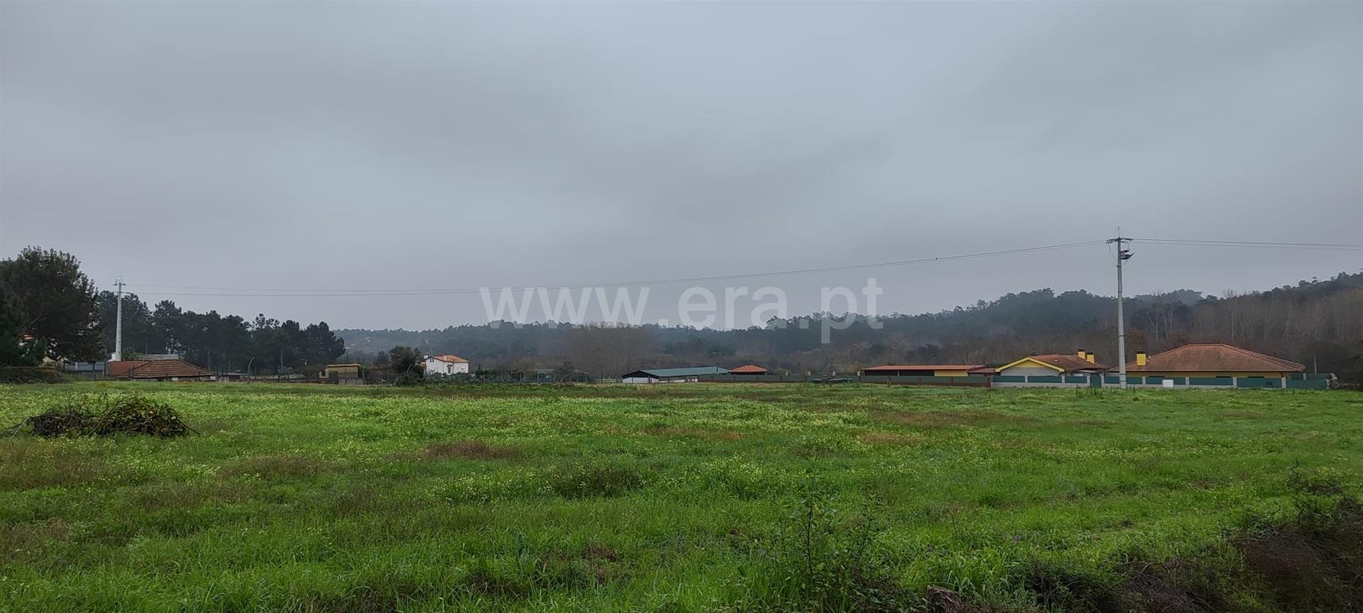 Land for sale in Oliveira do Bairro, Portugal — €80,000