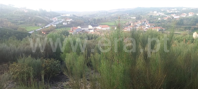 Terreno  Oliveira do Hospital, Aldeia de Nogueira - 1290388 - 2