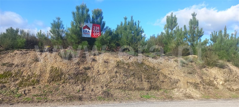 Terreno / Oliveira do Hospital, Aldeia de Nogueira