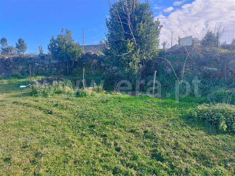 Terreno  Oliveira do Hospital, Andorinha - 1311640 - 11