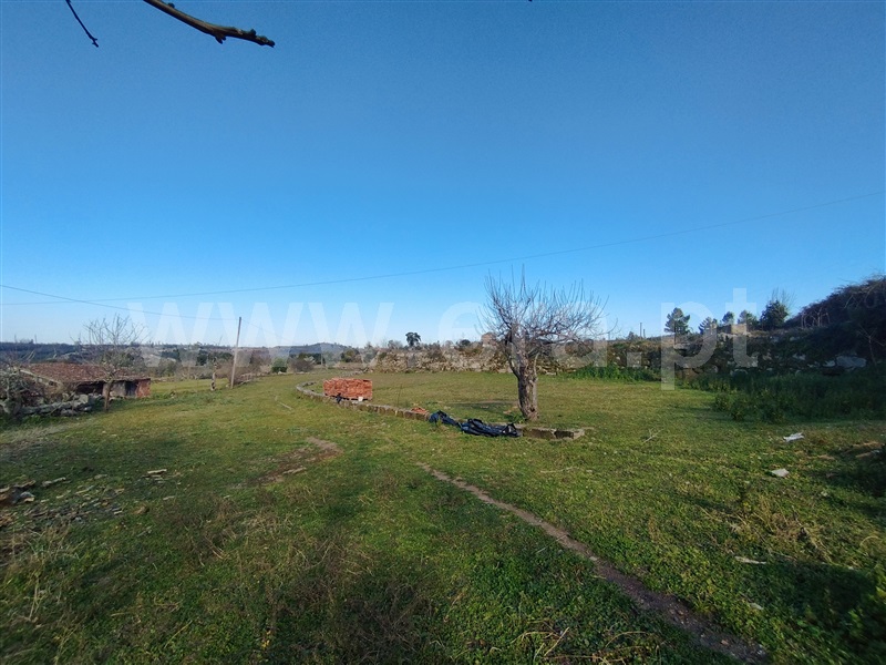 Terreno  Oliveira do Hospital, Andorinha - 1311640 - 13