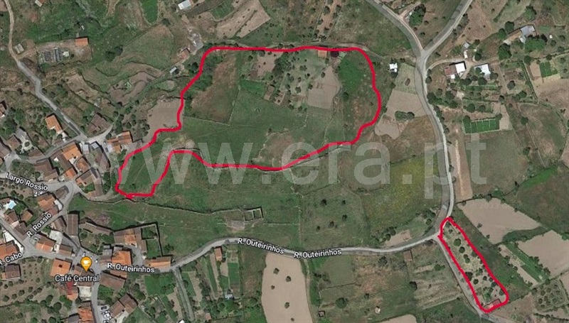 Terreno  Oliveira do Hospital, Andorinha - 1311640 - 14