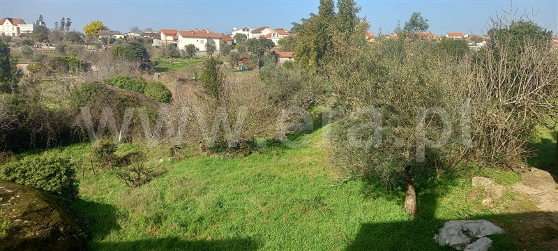 Terreno  Oliveira do Hospital, Lagares - 1384503 - 2