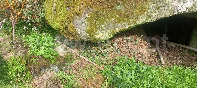Terreno  Oliveira do Hospital, Lagares - 1384503 - 9