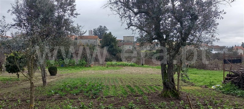 Terreno  Oliveira do Hospital, Lagares - 1384503 - 11