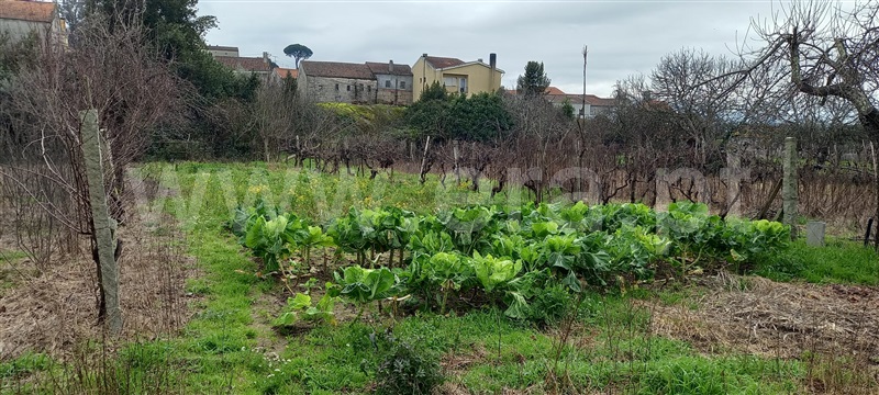 Terreno  Oliveira do Hospital, Lagares - 1384503 - 14