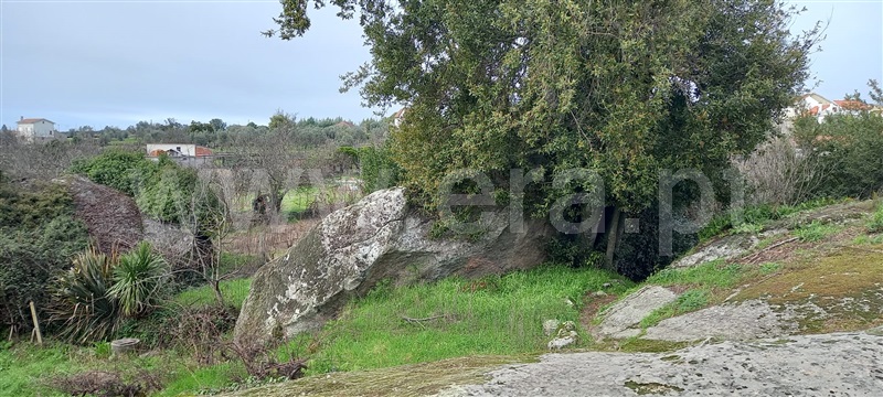 Terreno  Oliveira do Hospital, Lagares - 1384503 - 15