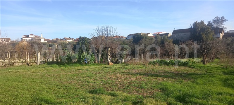 Terreno  com Rústico Oliveira do Hospital, Lagares - 1384503 - 17