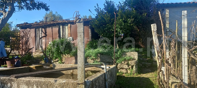 Terreno  com Rústico Oliveira do Hospital, Lagares - 1384503 - 25