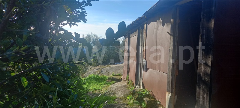 Terreno  com Rústico Oliveira do Hospital, Lagares - 1384503 - 26