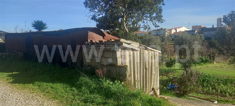 Terreno  com Rústico Oliveira do Hospital, Lagares - 1384503 - 27
