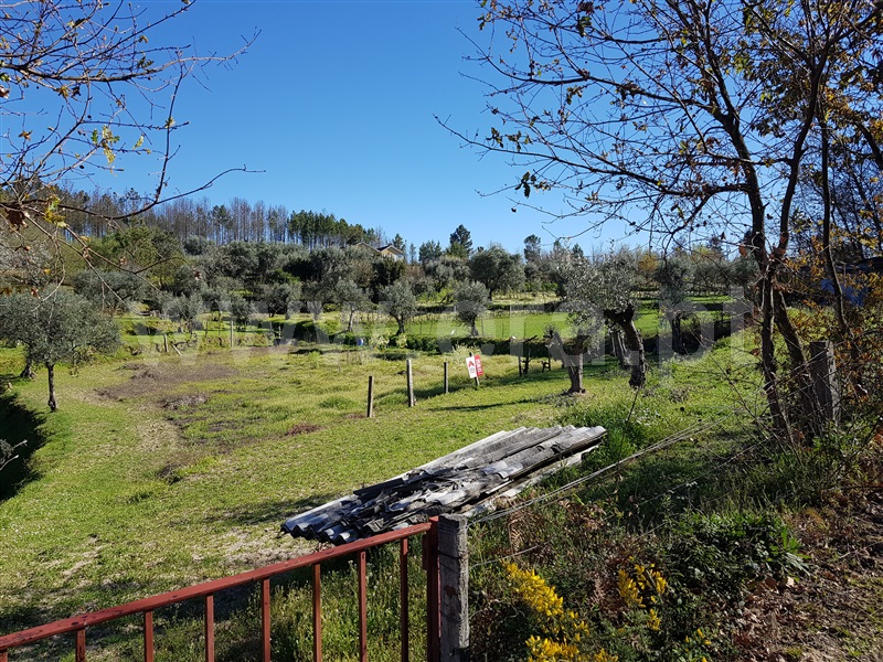 Terreno  Oliveira do Hospital, Lagos da Beira - 993633 - 6