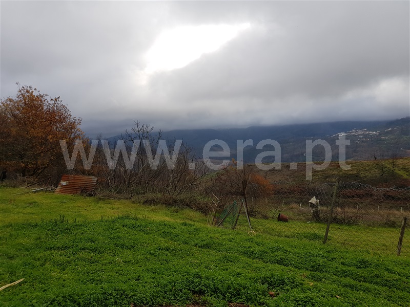 Terreno  Oliveira do Hospital, Santa Ovaia - 983041 - 2