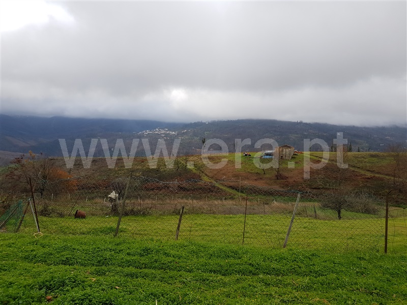 Terreno  Oliveira do Hospital, Santa Ovaia - 983041 - 3