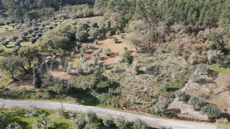 Terreno / Ourém, Caxarias
