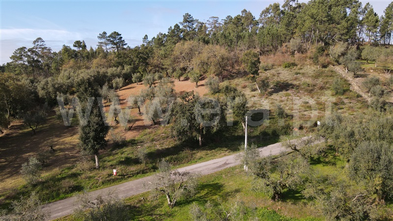 Terreno  Ourém, Caxarias - 1220933 - 2