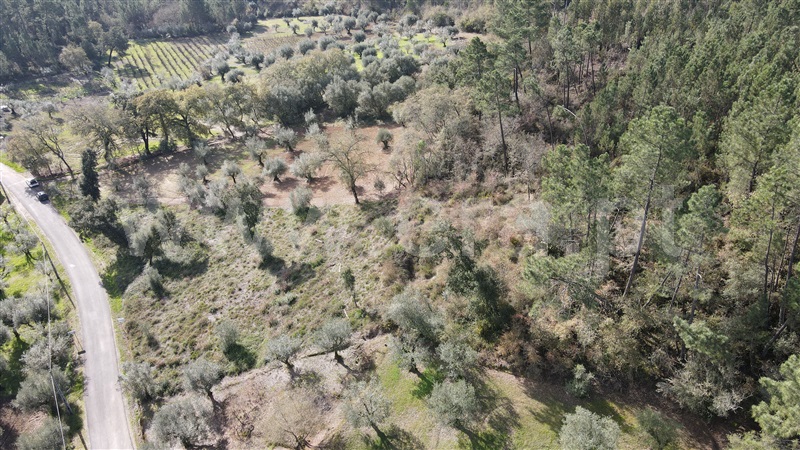 Terreno  Ourém, Caxarias - 1220933 - 3