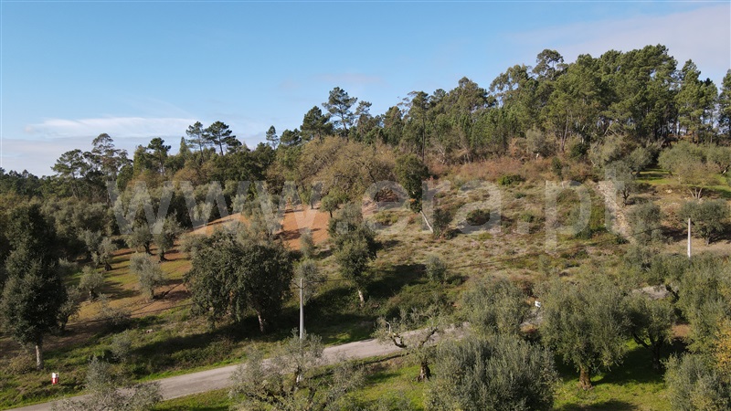 Terreno  Ourém, Caxarias - 1220933 - 5