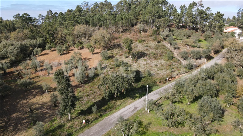 Terreno  Ourém, Caxarias - 1220933 - 6