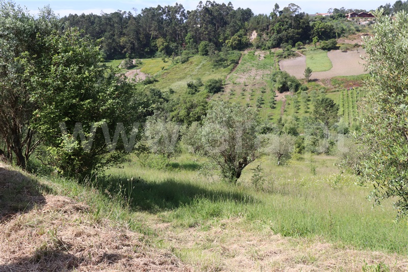 Terreno  Ourém, Espite - 1088426 - 2