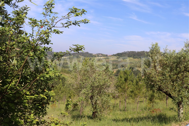 Terreno / Ourém, Espite