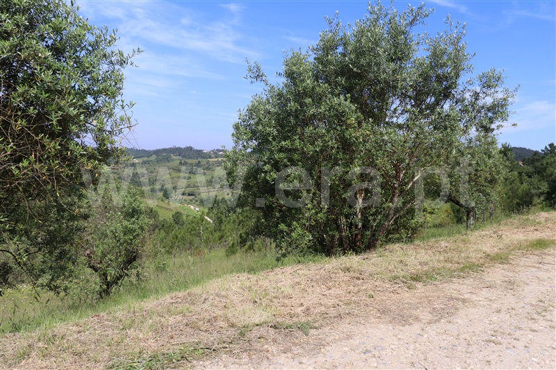 Terreno  Ourém, Espite - 1088426 - 4