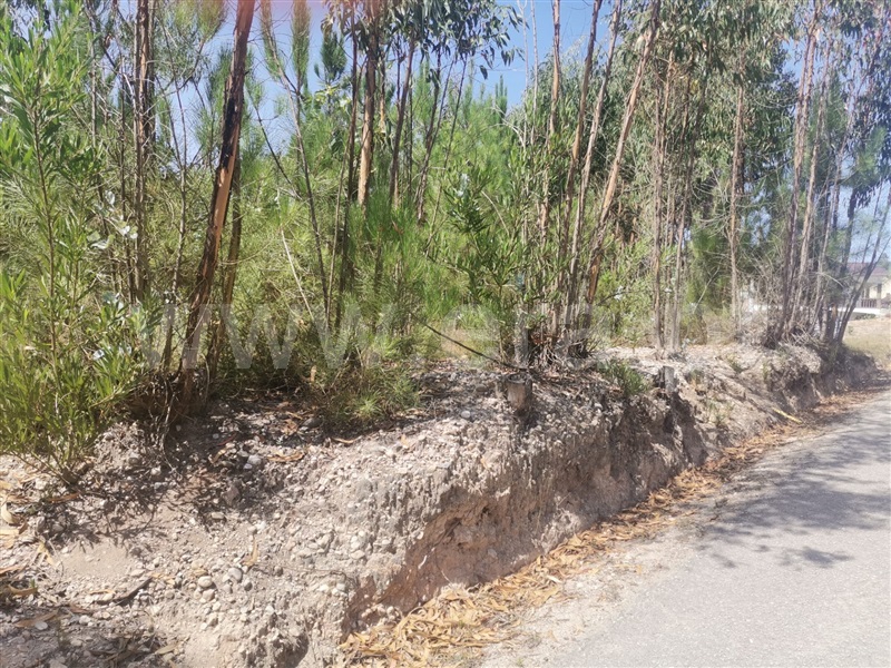 Terreno  Ourém, Espite - 1193266 - 7