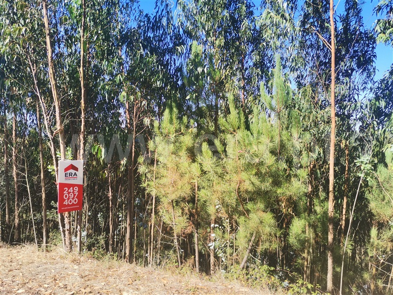 Terreno  Ourém, Espite - 1193266 - 2