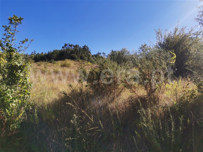 Terreno  Ourém, Espite - 1193266 - 4