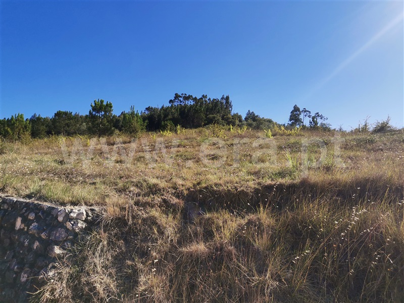 Terreno  Ourém, Espite - 1193266 - 5