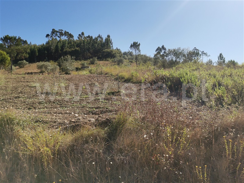 Terreno  Ourém, Espite - 1193266 - 6