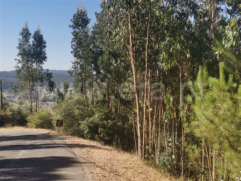 Terreno / Ourém, Espite