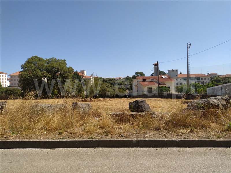 Terreno / Ourém, Fátima