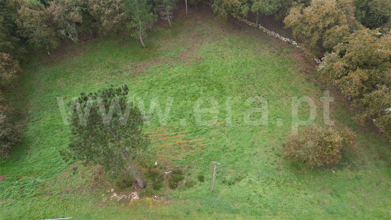 Terreno  Ourém, Fátima - 1370322 - 1