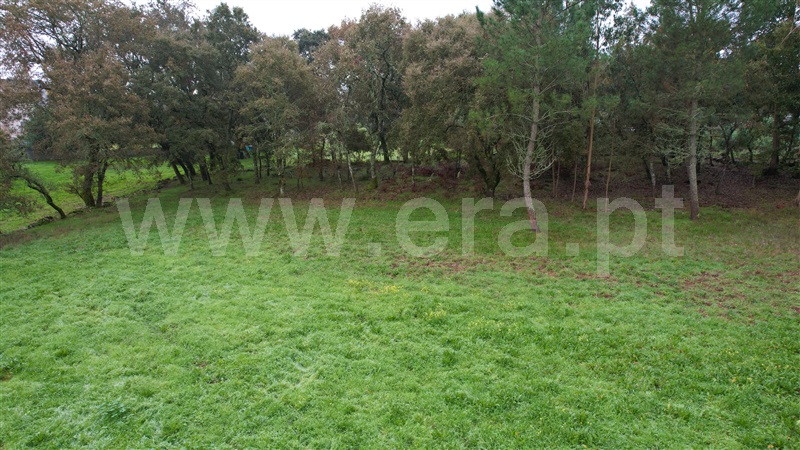 Terreno  Ourém, Fátima - 1370322 - 2