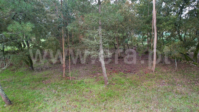 Terreno  Ourém, Fátima - 1370322 - 4