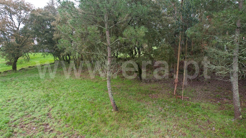 Terreno  Ourém, Fátima - 1370322 - 5