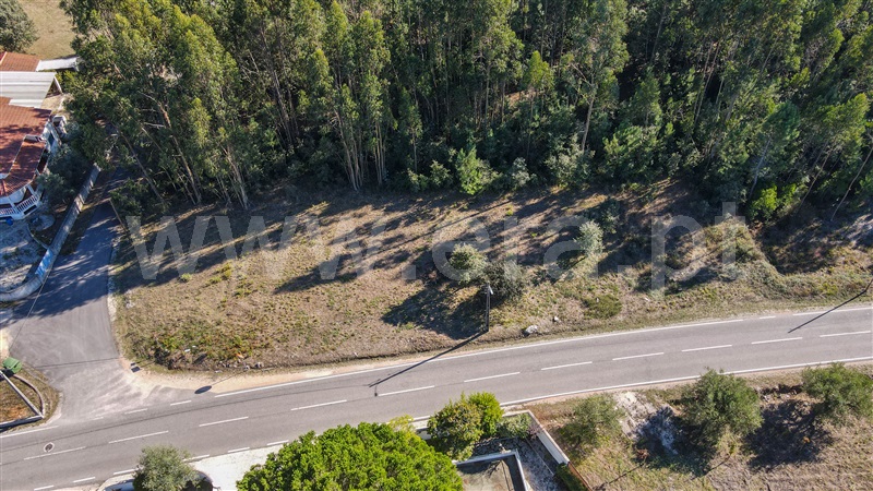 Terreno  Ourém, Fátima - 1435204 - 4