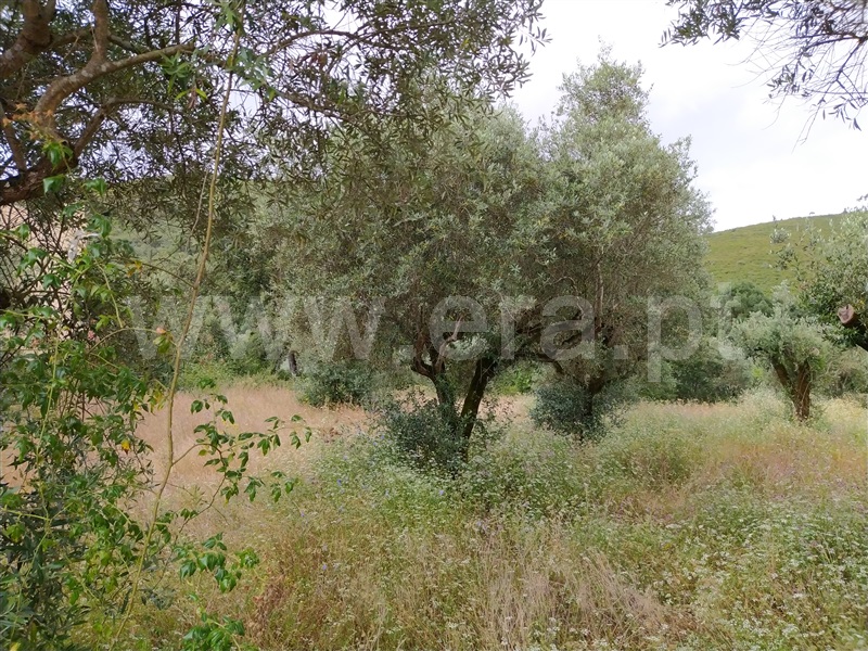 Terreno  Ourém, Freixianda, Ribeira do Fárrio e Formigais - 1095570 - 2