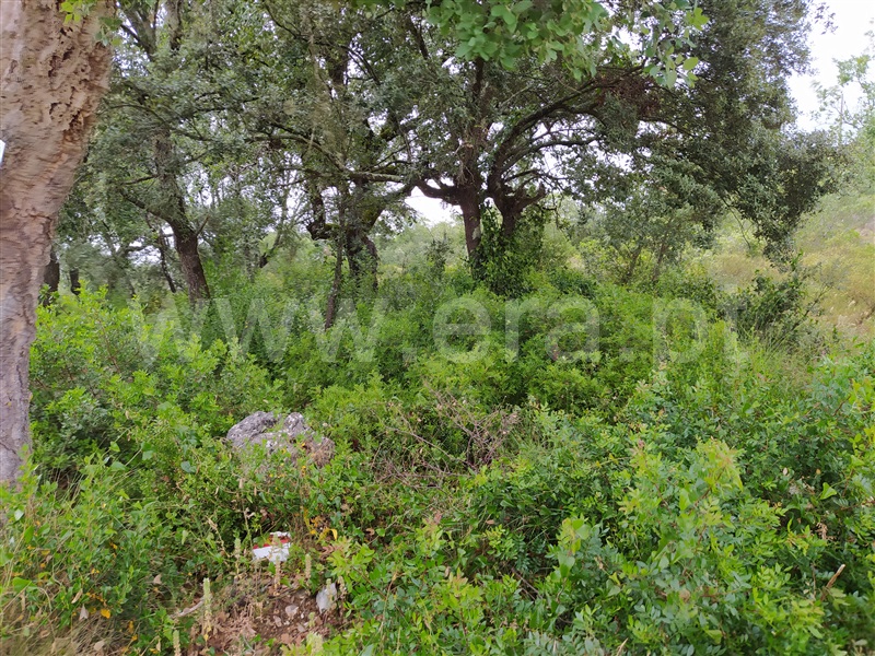 Terreno / Ourém, Freixianda, Ribeira do Fárrio e Formigais
