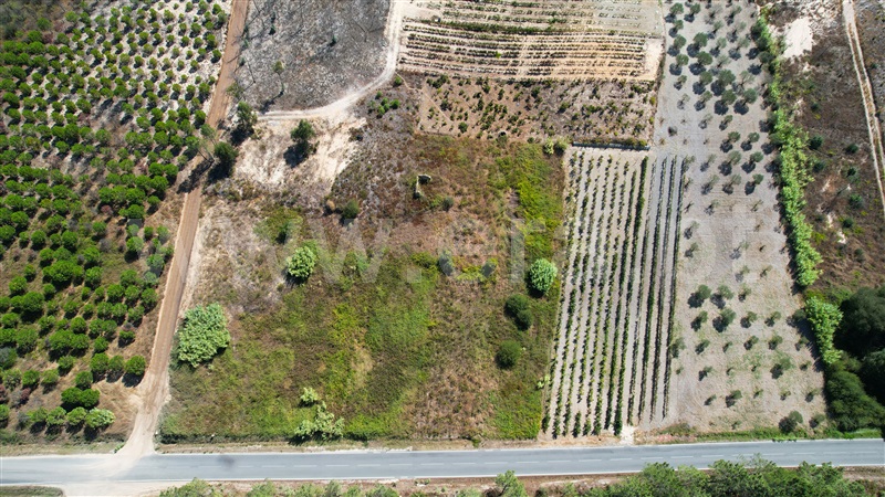 Terreno  Ourém, Freixianda, Ribeira do Fárrio e Formigais - 1351961 - 6