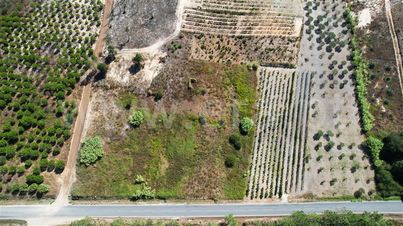 Terreno  Ourém, Freixianda, Ribeira do Fárrio e Formigais - 1351961 - 10