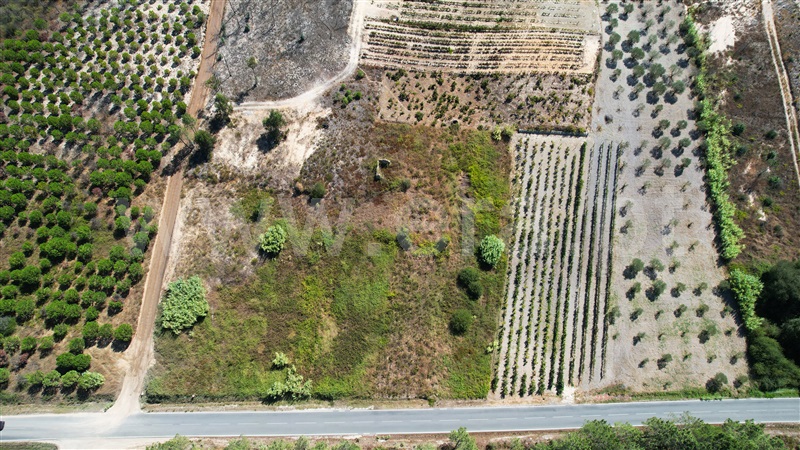 Terreno  Ourém, Freixianda, Ribeira do Fárrio e Formigais - 1351961 - 14