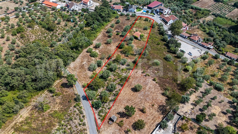 Terreno / Ourém, Gondemaria e Olival