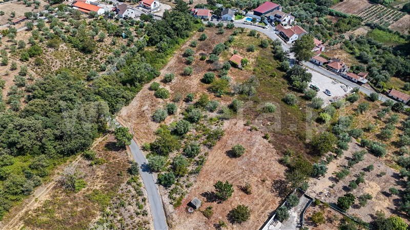 Terreno  Ourém, Gondemaria e Olival - 1503643 - 2
