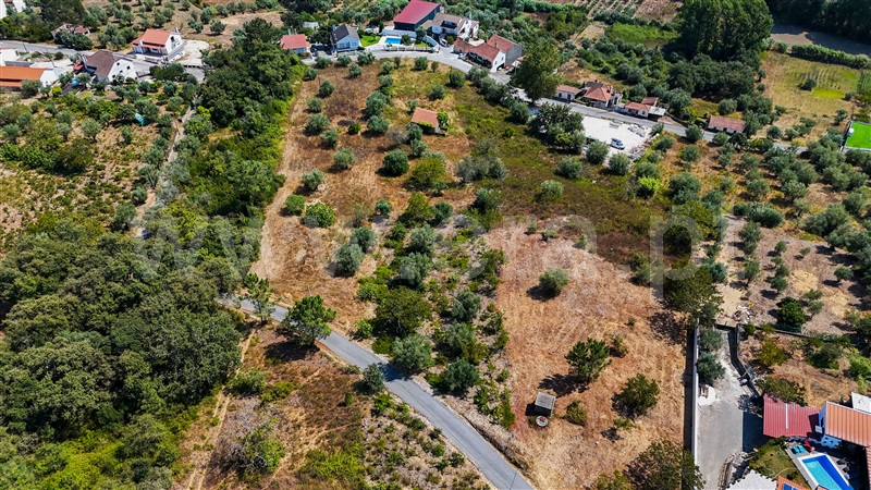 Terreno  Ourém, Gondemaria e Olival - 1503643 - 3