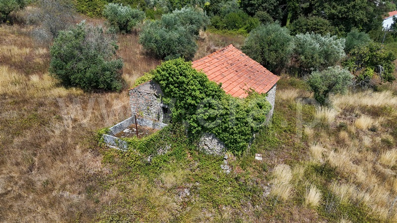 Terreno  Ourém, Gondemaria e Olival - 1503643 - 5